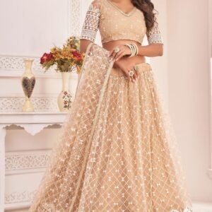 Embroidered Dupatta Net